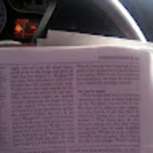 Meet your Posher, Florence aka jesus christ